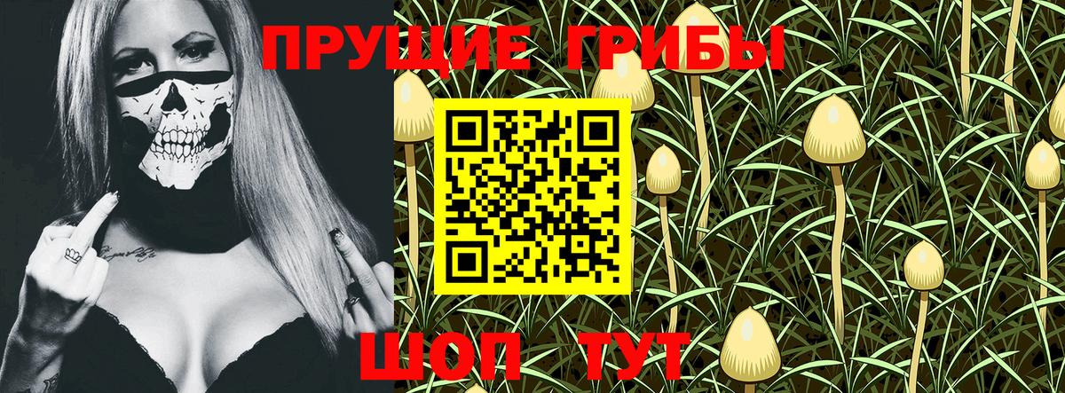 Псилоцибиновые грибы Psilocybe Острогожск